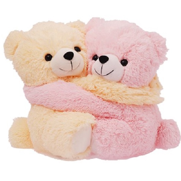 Dimpy Stuff Cute Pink and Cream Bear Couple Soft Toy